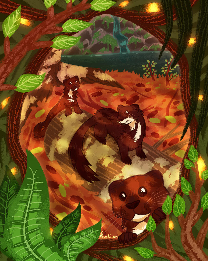 piece done for the Mustelizine