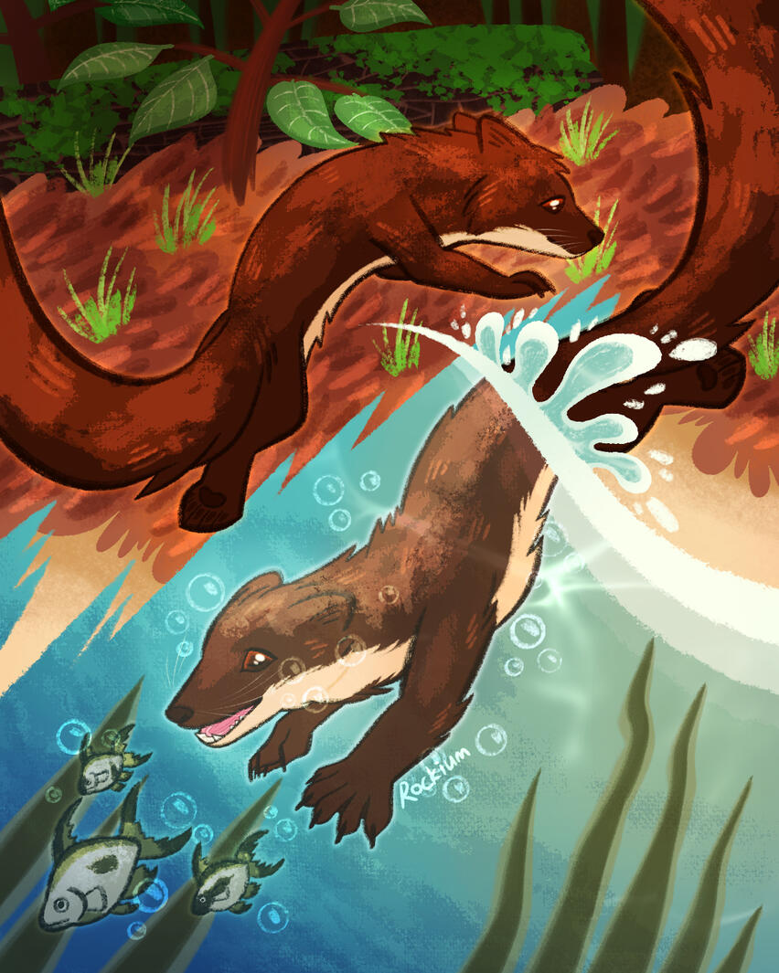 piece done for the Mustelizine